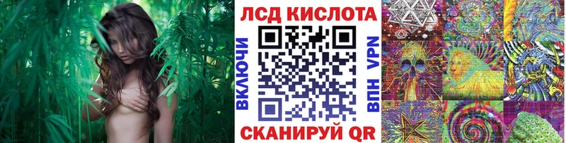 Марки NBOMe 1,8мг Энем