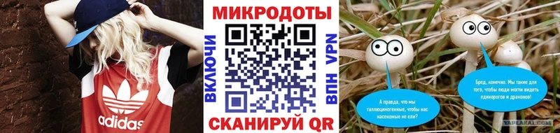 даркнет состав  Энем  Галлюциногенные грибы Magic Shrooms 
